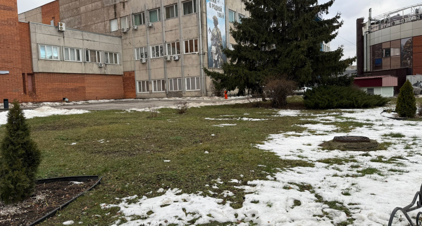 «Зимы больше не будет»: Вильфанд дал новый прогноз погоды на февраль