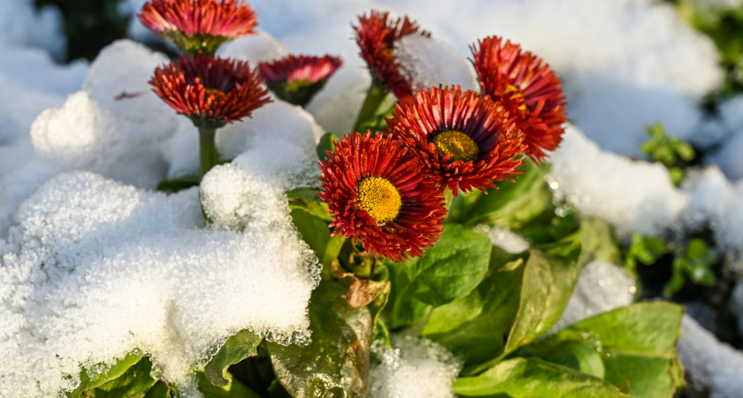 Под конец зимы наступит жаркое лето: погода готовит настоящий сюрприз в феврале