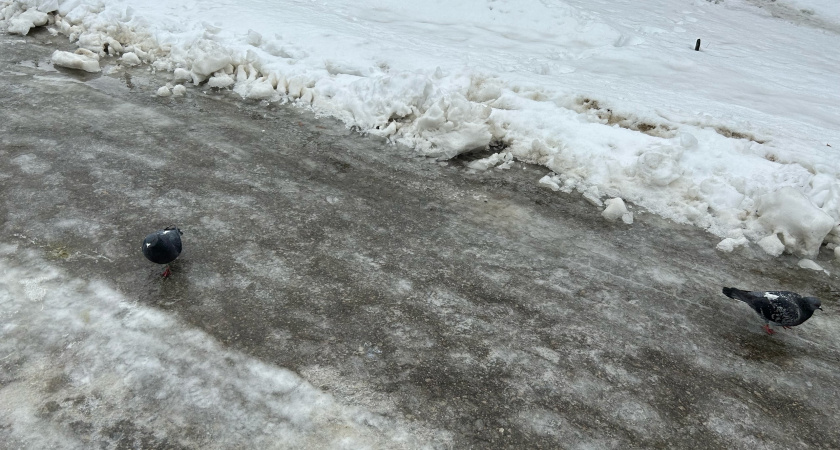 В Вадинском районе прокуратура начала проверку падения ребенка на льду