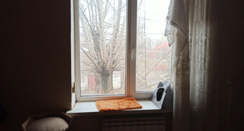 С февраля полный запрет на установку пластиковых окон: их заставят снять и не разрешат поставить новые