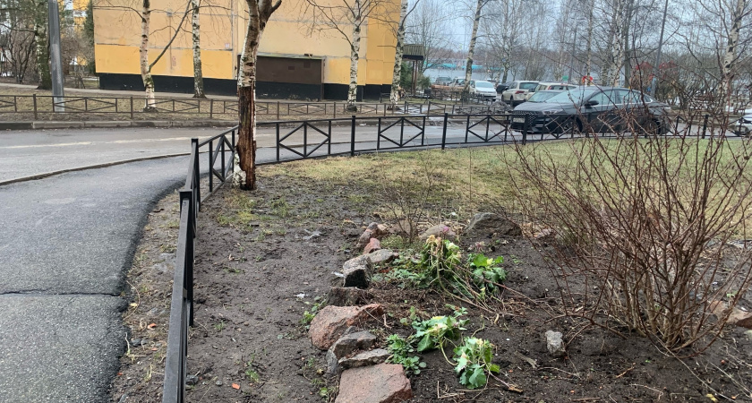 «Зимы больше не будет»: Вильфанд рассказал, каким будет февраль