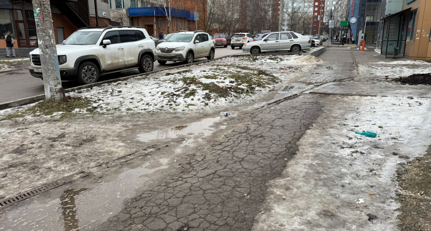 «Зимы больше не будет»: Вильфанд рассказал, насколько аномальной будет погода в феврале