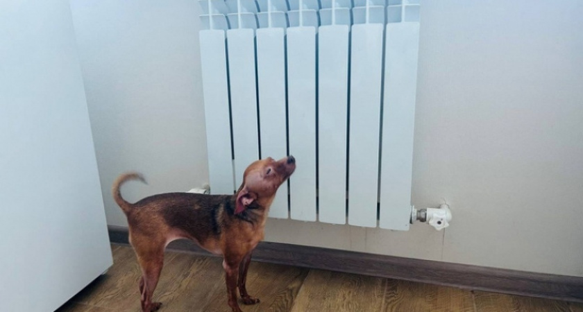 С 1 февраля россиянам бесплатно поставят радиаторы отопления — как успеть получить услугу за чужой счет