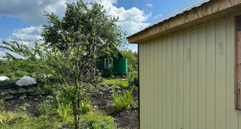 Каким будет лето 2025 после аномально теплой зимы: эксперты сообщили, к чему готовиться