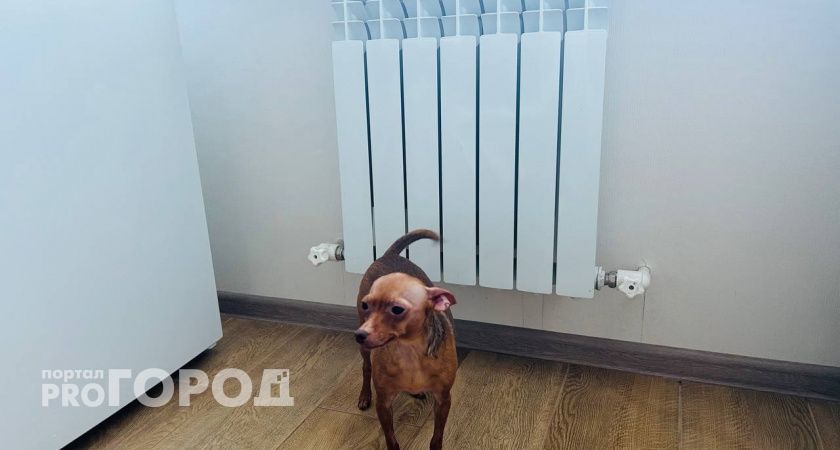 Начислят в 10 раз больше — с таким батареями с февраля отопление станет «золотым»