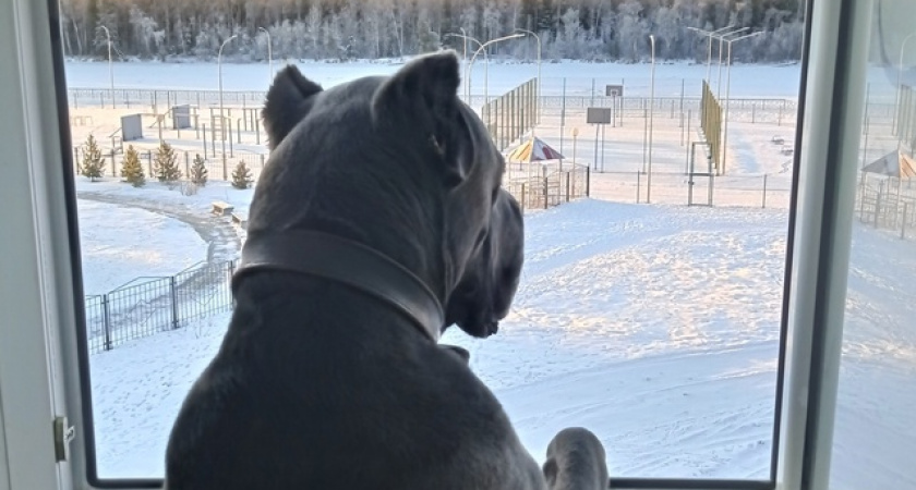 И не мечтайте даже: о привычной зиме россиянам стоит забыть напрочь