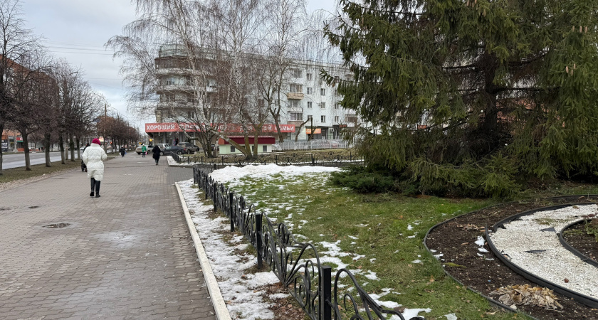 «Зимы больше не будет»: Вильфанд рассказал, каким будет февраль