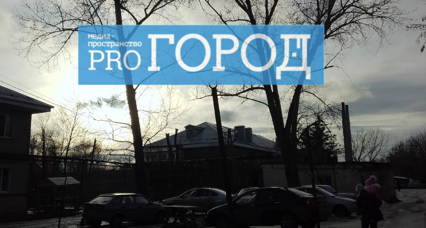 Опасные сухие ветки, грозящие упасть вниз, пугают детей и пенсионеров микрорайона Шуист: фото 