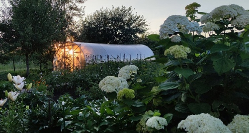 Весной ждите аномальных морозов, которые будут хлеще зимних: синоптики озвучили обновлённый прогноз на март и апрель