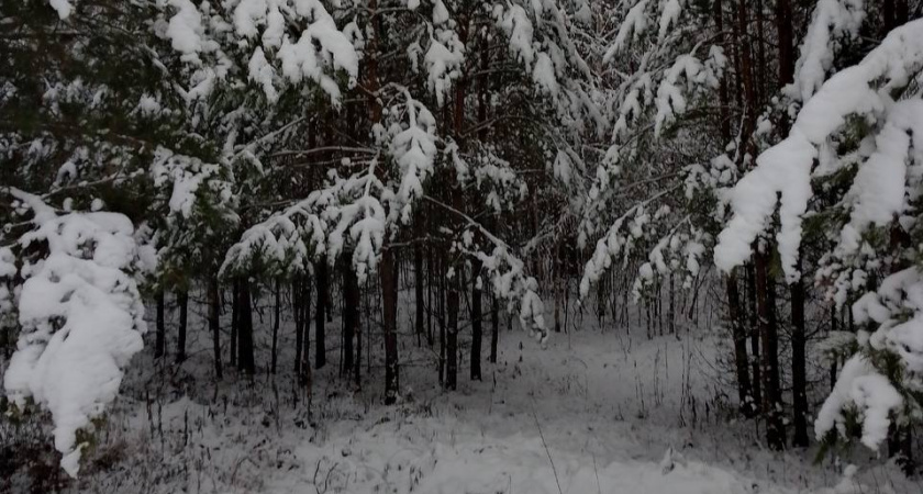 Этой ночью жителям Пензенской области нужно быть готовым к сильным заморозкам