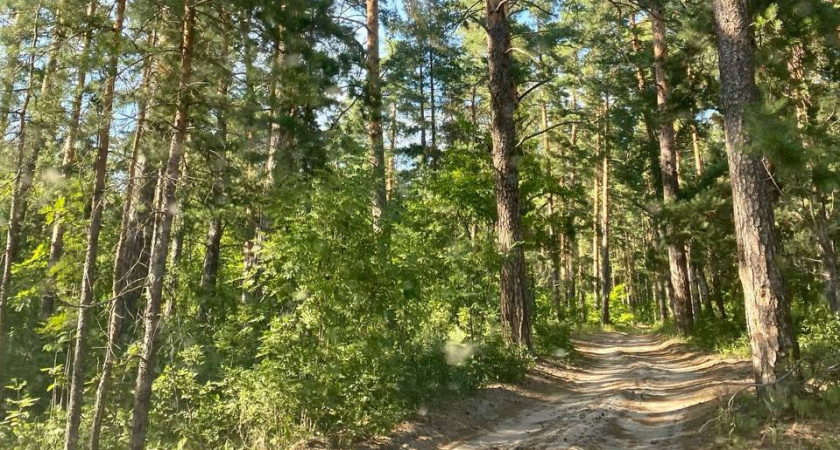 Санаторий-профилакторий в Заречном передадут частному лицу