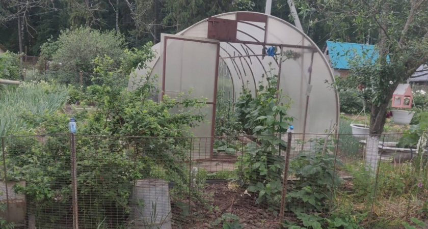 Пензенского фермера заставили вернуть арендаванную землю из-за незаконности сделки