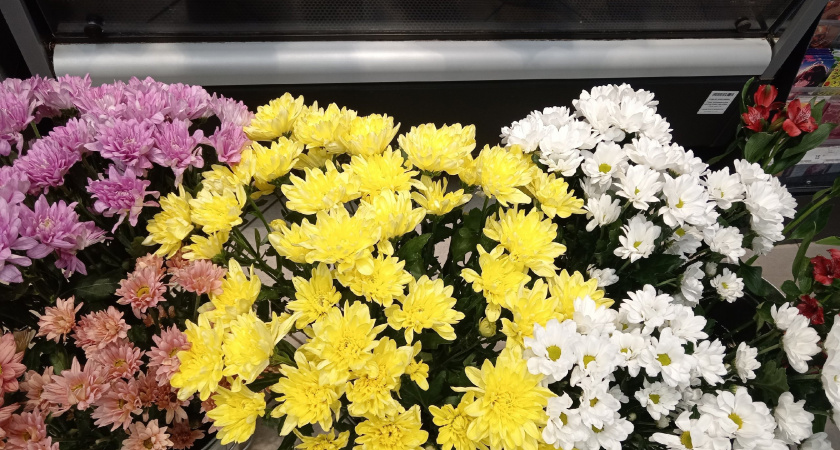 Теперь полная отмена 8 Марта и неожиданные длинные каникулы: новые правки в трудовом календаре на 2025 год