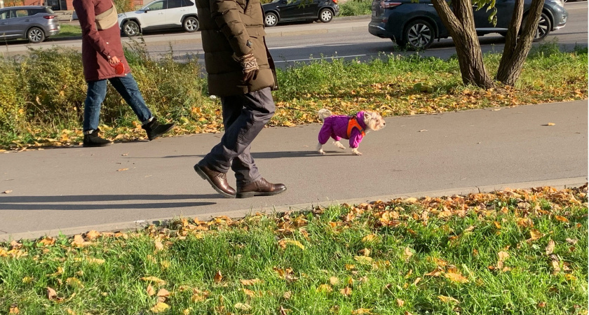 В п. Исса будут обновлены пешеходные дорожки на ул. Огарева
