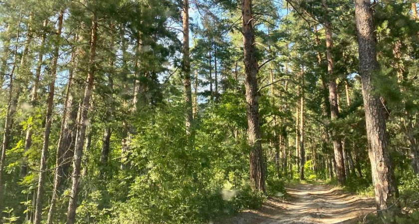 Глава Пензенского МЧС предрекает большое количество пожаров в этом году