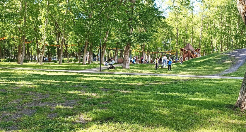 В Вадинске в рамках нацпроекта будет благоустроена парковая зона