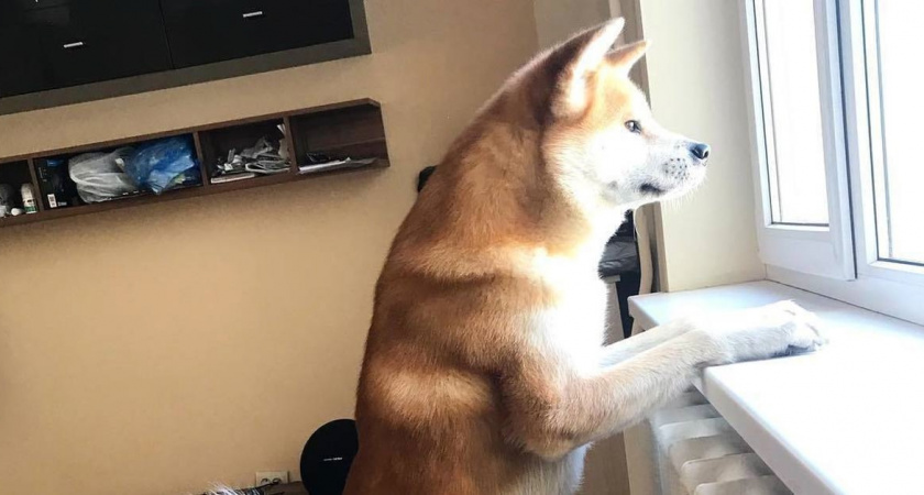 В марте жителям России бесплатно заменят радиаторы отопления: как успеть получить услугу за чужой счёт