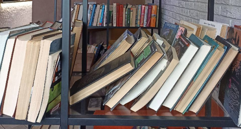 Для детской библиотеки было куплено 507 книг за 240 тысяч рублей
