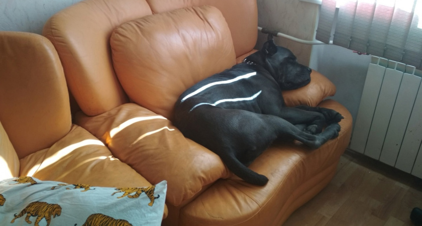 В марте россиянам совершенно бесплатно заменят радиаторы отопления: как успеть получить услугу за чужой счёт