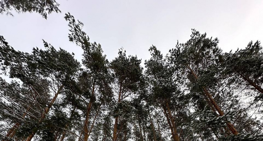 В Пензе определили границы зон защиты метеорологической обсерватории