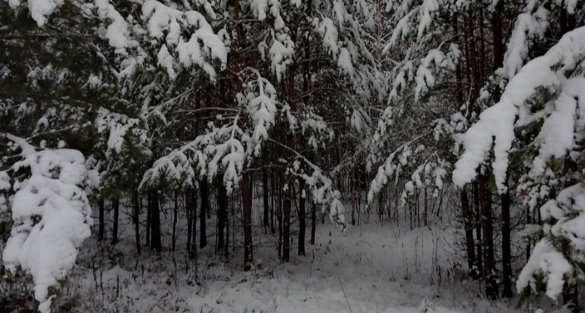 Завтра, 4 марта, жителям Пензы стоит ждать снегопад