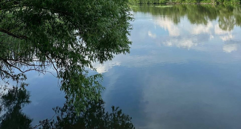 Жителям Пензы напомнили, куда они могут обратиться, если их подтопило из-за весеннего паводка