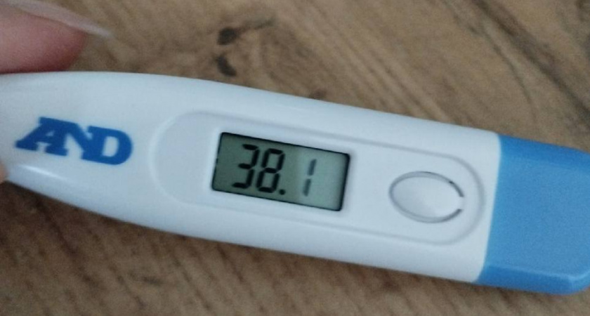 На прошлой неделе в Пензенской области зарегистрировано 3530 случаев заболевания гриппом и ОРВИ