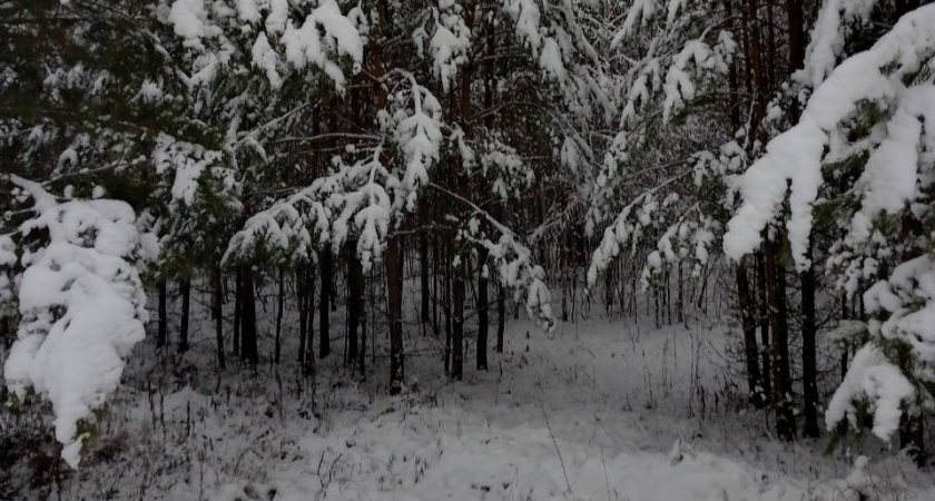 7 марта пензенцам стоит ждать небольшую магнитную бурю