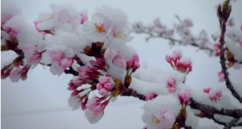 Аномальная жара в марте и запредельный холод в мае: синоптики дали новый прогноз — всё намного хуже, чем думали