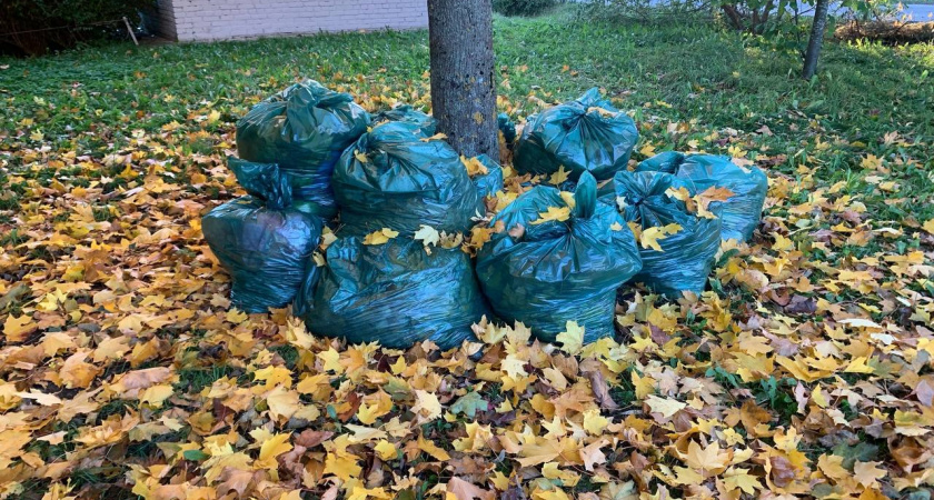 Сегодня, 10 марта, в Пензе стартовал месячник по благоустройству