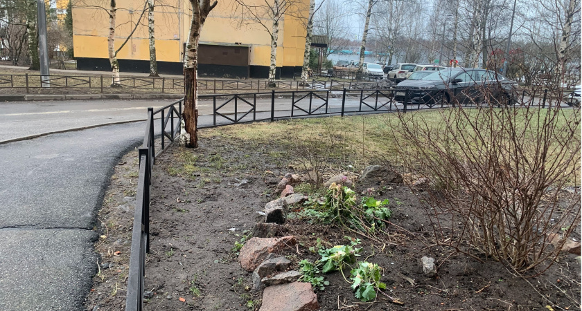 Пензенские дворы продолжат благоустраивать в рамках проекта «Мой двор»