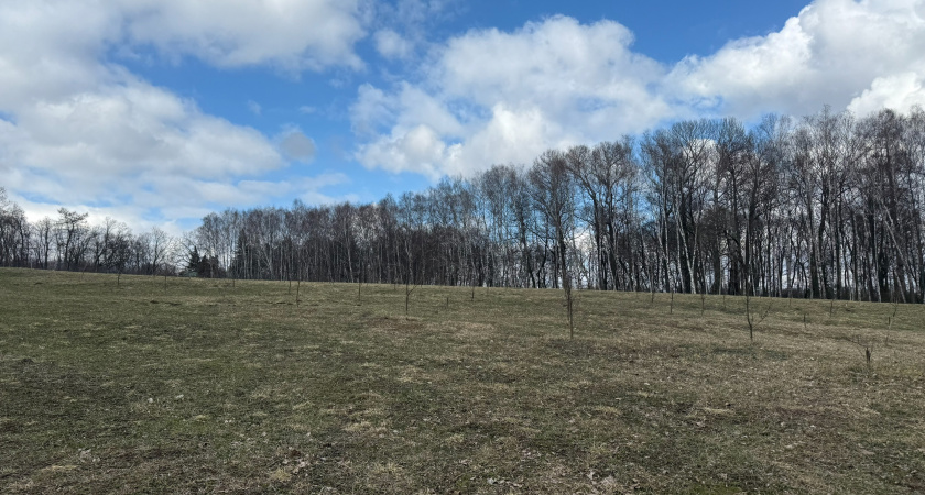 В Малосердобинском районе были найдены охотничьи капканы