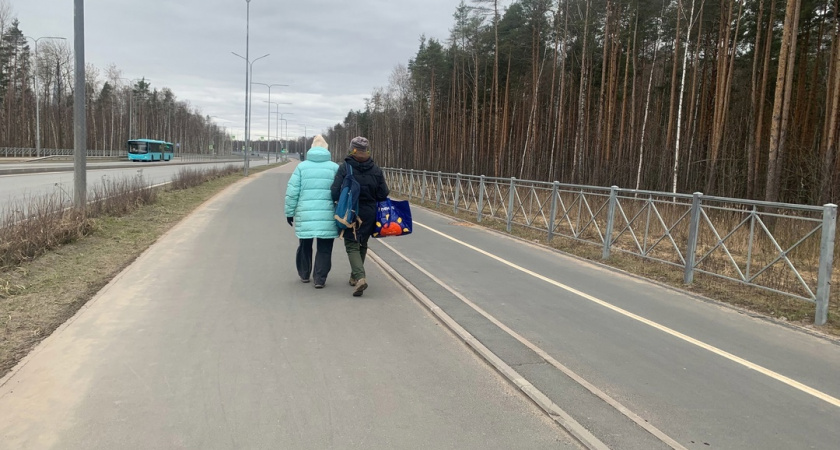Пенсионное удостоверение придётся вернуть: пожилых до 70 лет ожидает сюрприз с 1 июля