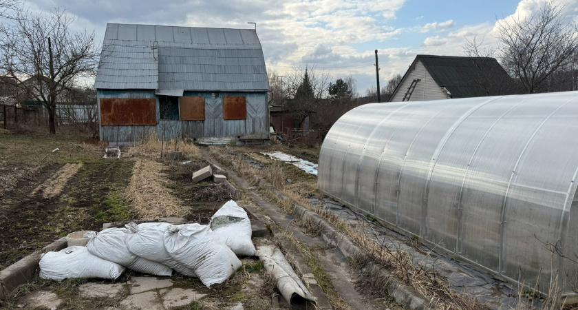С 18 апреля на такие теплицы вводится запрет: приняли решение для всех россиян, у кого есть дача или участок, — штрафы полетят пачками