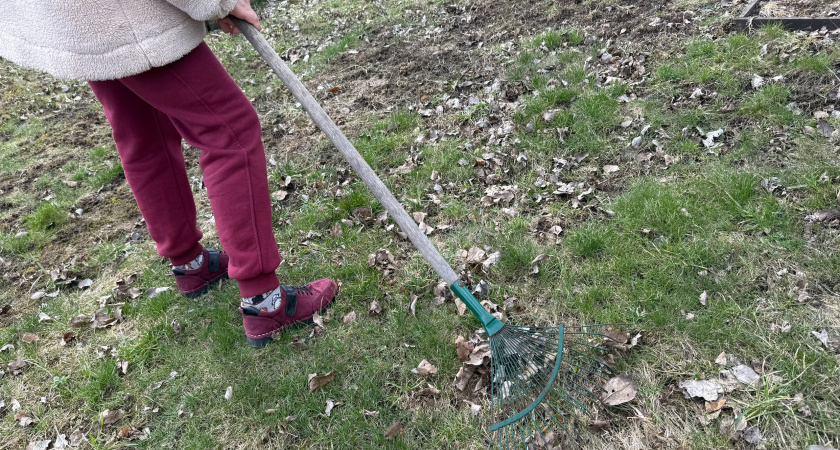 Никогда не выбрасываем старые грабли: вот для чего они нужны — никакого волшебства, только смекалка