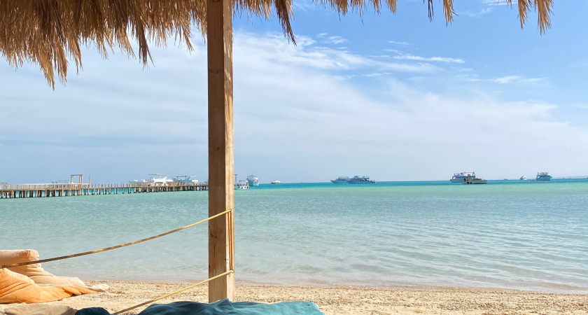 Друг отдохнул в Египте: еле вернулся живым и совсем без денег — платил даже за то, что не брал. Турист дал честный отзыв об отдыхе в Египте