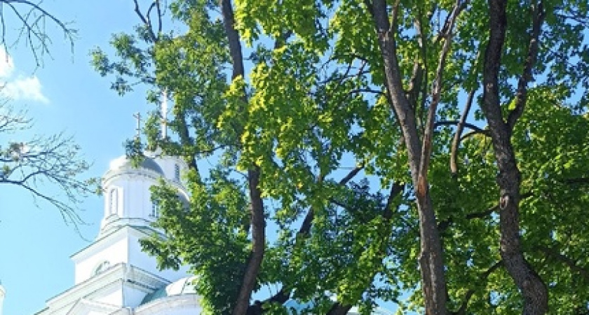 На Пасху нас ждёт ещё один выходной: россиянам сделали подарок к празднику. Можно планировать дачу и шашлыки 