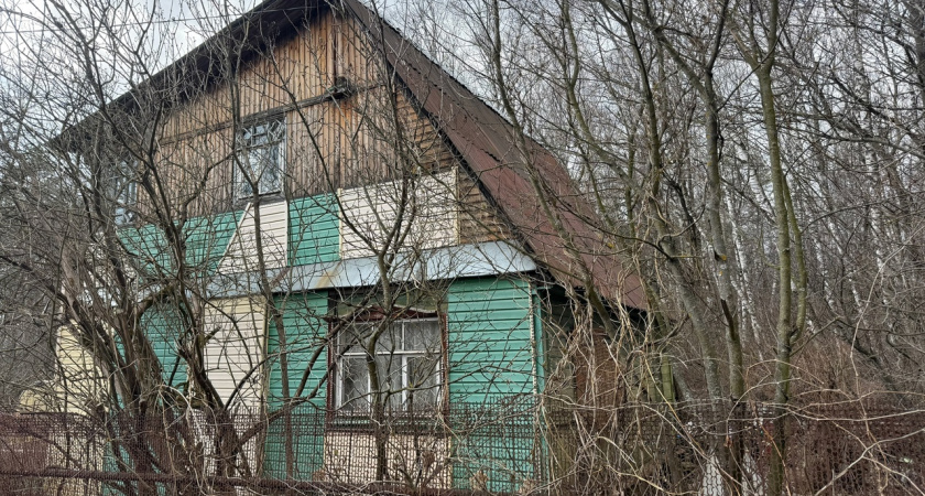 С 22 апреля вводится запрет на спиливание деревьев на даче: принято решение для всех россиян, у кого есть участок— новые штрафы