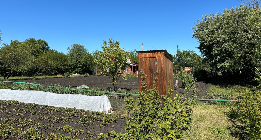 Делаем несколько дырок и приезжаю на дачу для полива только на выходные: не метод, а находка