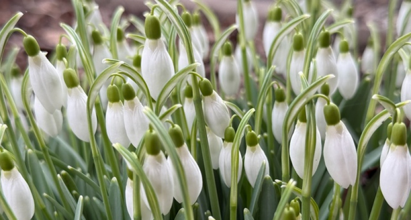 Снег вернётся на майские праздники? Вильфанд дал россиянам точный прогноз на весну — долгожданные выходные будут подпорчены