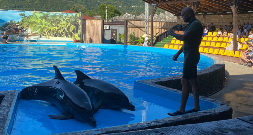 Дешевле нашего  моря, а сервис в 1000 раз лучше — собираемся этим летом на отдых всей семьёй