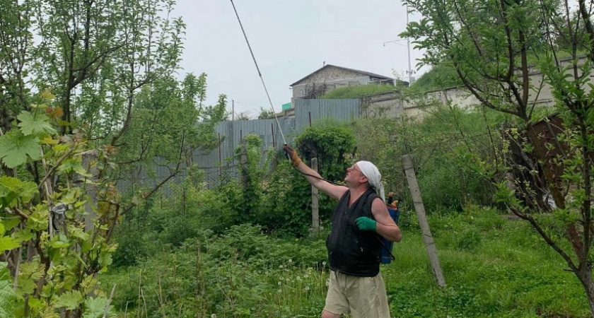 Уже точно объявлено, каким будет лето после аномально тёплой зимы: синоптики предупредили, что ждёт садоводов и дачников