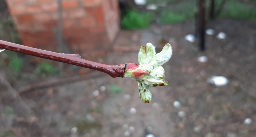 Страдать будем все: синоптики назвали точную дату, когда адский холод вернётся в Россию