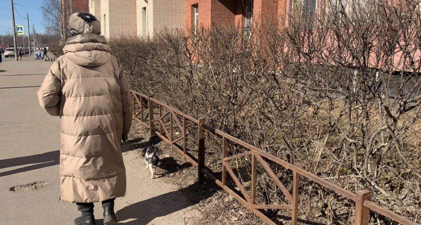 На пенсию по старости никто не пойдёт: новый график выхода на 2025 год — раскрыли точную таблицу по годам