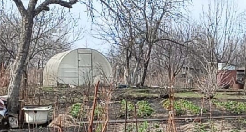 С 1 мая теплицы под запретом: приняли новое решение для всех россиян, у кого есть дача или участок, — новые штрафы
