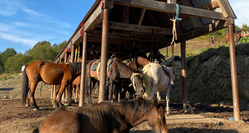 «Одни развалины и вымогатели»: турист оставил честный отзыв об отдыхе в Абхазии