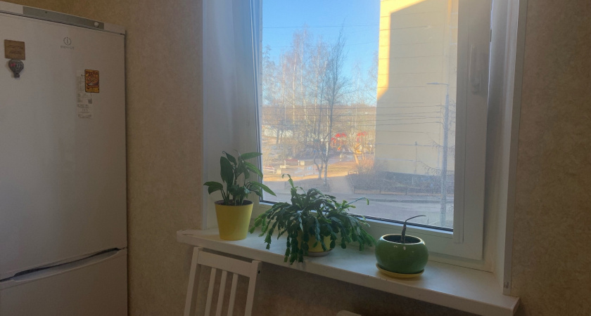 Почему нельзя мыть окна, когда на улице солнце. Запомните раз и навсегда