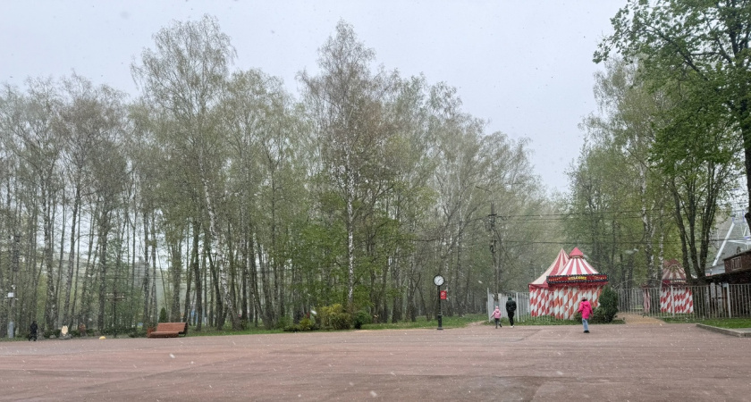 Майские каникулы отменяются: выходные перенесут из-за ситуации в стране