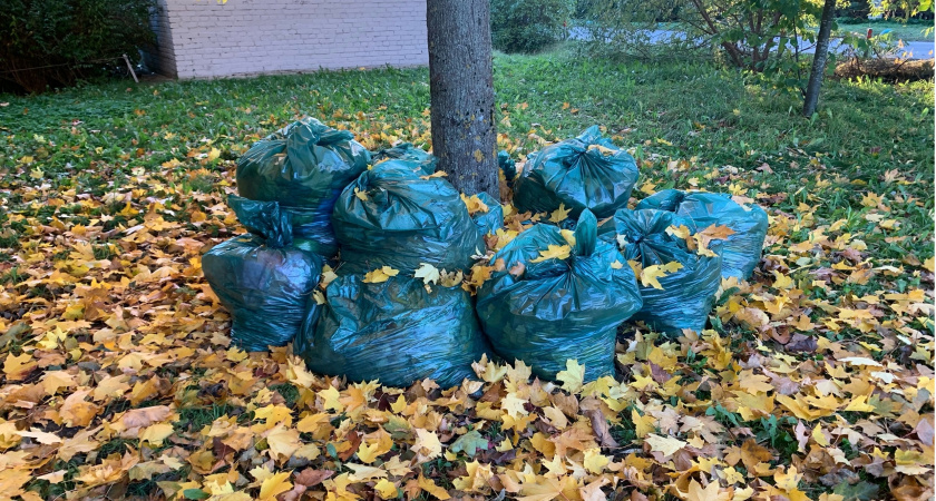 Участниками Всероссийского субботника стали более 86 тысяч пензенцев