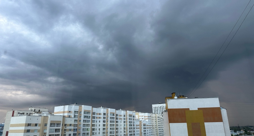 Такого лета не было последние 45 лет: Вильфанд рассказал, к чему готовиться россиянам уже с июня 2025-го